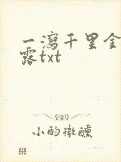 一泻千里金银花露txt