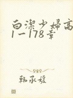 白洁少妇高义第1一178章