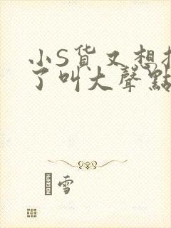 小S货又想挨C了叫大声点小