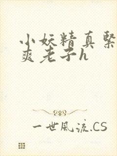 小妖精真紧h嘶爽老子h