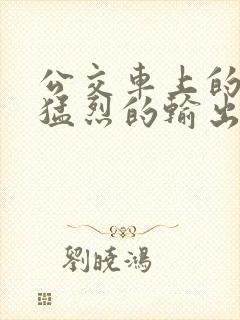 公交车上的诗请猛烈的输出阅读