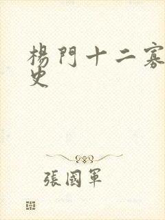 杨门十二寡妇艳史