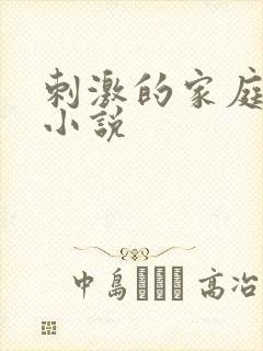 刺激的家庭乱仑小说