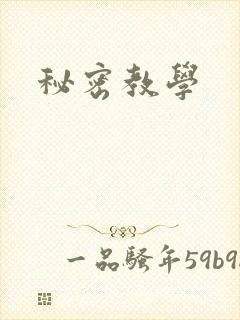 秘密教学
