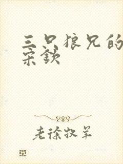 三只狼兄的宠妻宋钦