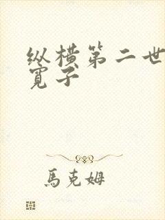 纵横第二世界 宽子