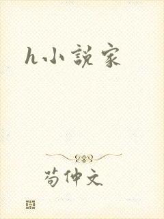 h小说家