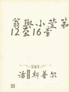 翁与小莹第十部12至16章