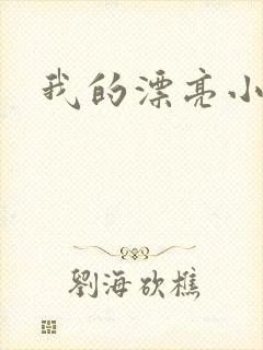 我的漂亮小后妈