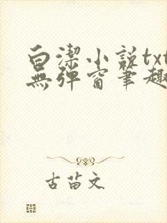 白洁小说txt无弹窗笔趣阁