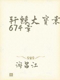 轩辕大宝袁雪妃674章