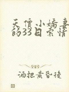 天价小娇妻总裁的33日索情