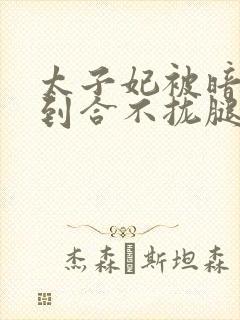 太子妃被暗卫C到合不拢腿