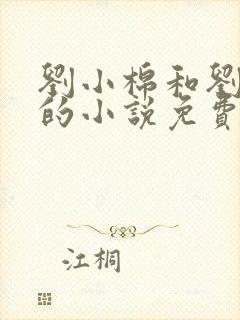 刘小棉和刘易文的小说免费阅读