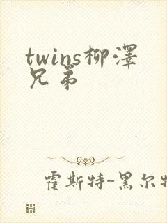 twins柳泽兄弟