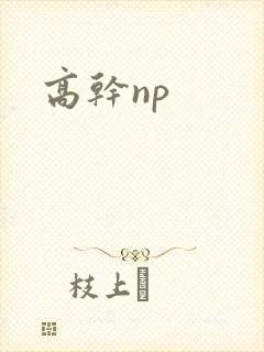 高干np