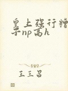 皇上强行糟蹋太子np高h