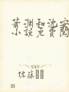 萧渊和沈安安的小说免费阅读