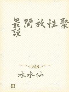 最开放性聚会小说