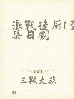 激战后厨1至5集日剧