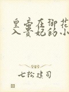 皇帝在御花园进入贵妃的小说