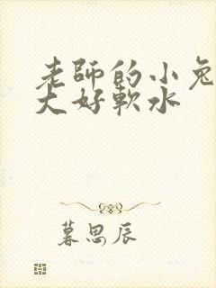 老师的小兔子好大好软水