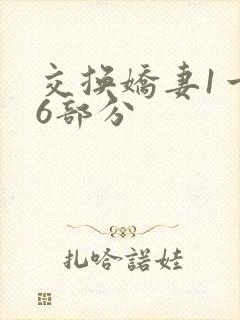 交换娇妻1一36部分
