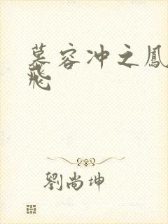 慕容冲之凤凰于飞