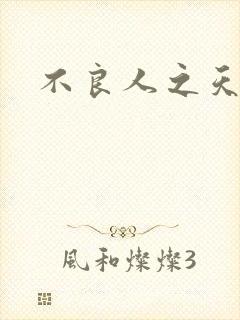 不良人之天罡传