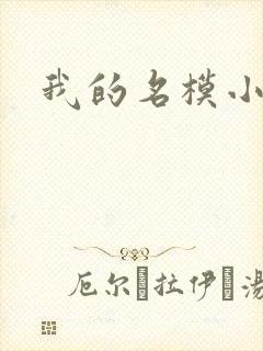 我的名模小娇妻