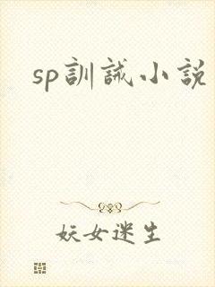 sp训诫小说