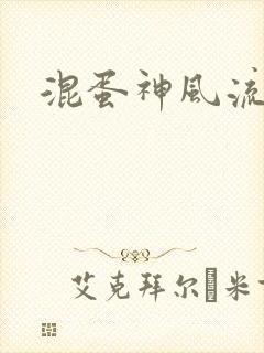 混蛋神风流记