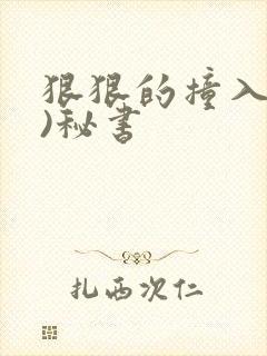 狠狠的撞入(h)秘书