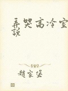 弄哭高冷室友小说