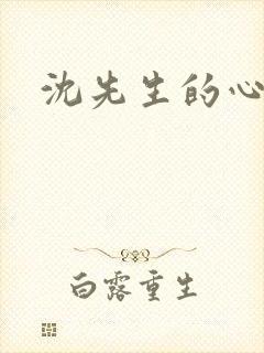 沈先生的心头宝