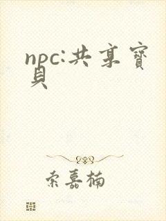 npc:共享宝贝