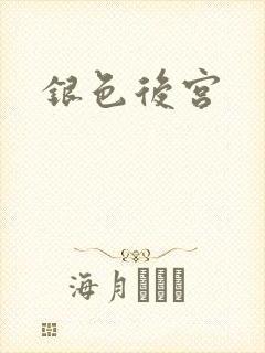 银色后宫