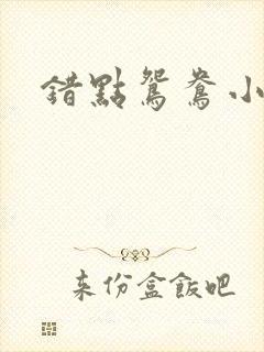 错点鸳鸯小说