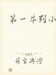 第一序列小说