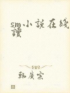 sm小说在线阅读