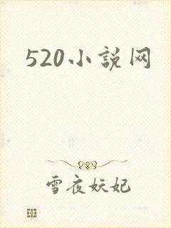 520小说网