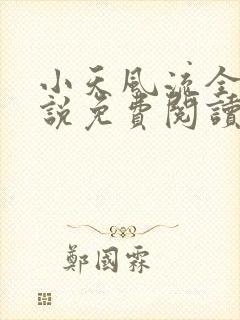 小天风流全集小说免费阅读