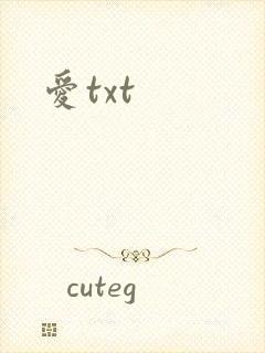 爱txt