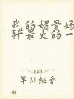 我的媚骨妈妈林轩最火的一句