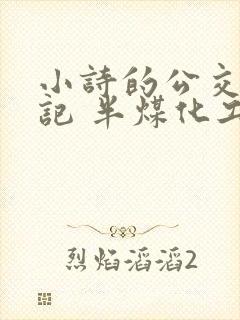 小诗的公交车日记 半煤化工