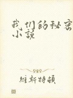 我们的秘密泰剧小说