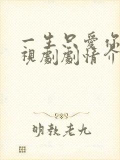 一生只爱你 电视剧剧情介绍