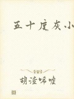 五十度灰小说