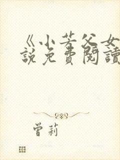 《小芳父女》小说免费阅读