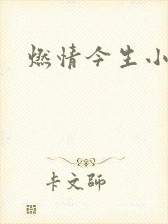 燃情今生小说